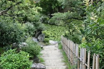 A path leads down to the water's edge