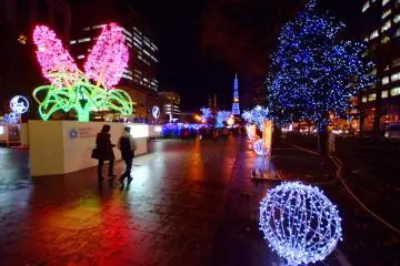 Sapporo White Illumination 2026