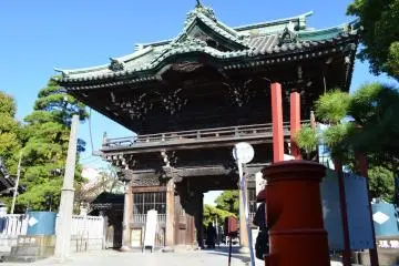 Gallery image