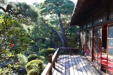 The garden at Yamamoto-tei