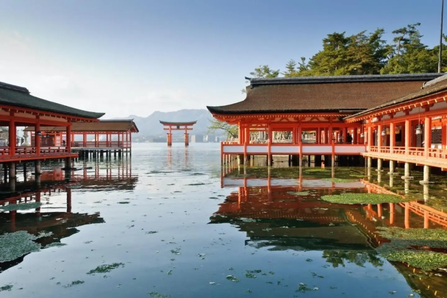 저작권: Samart Mektippachai  / Shutterstock.com