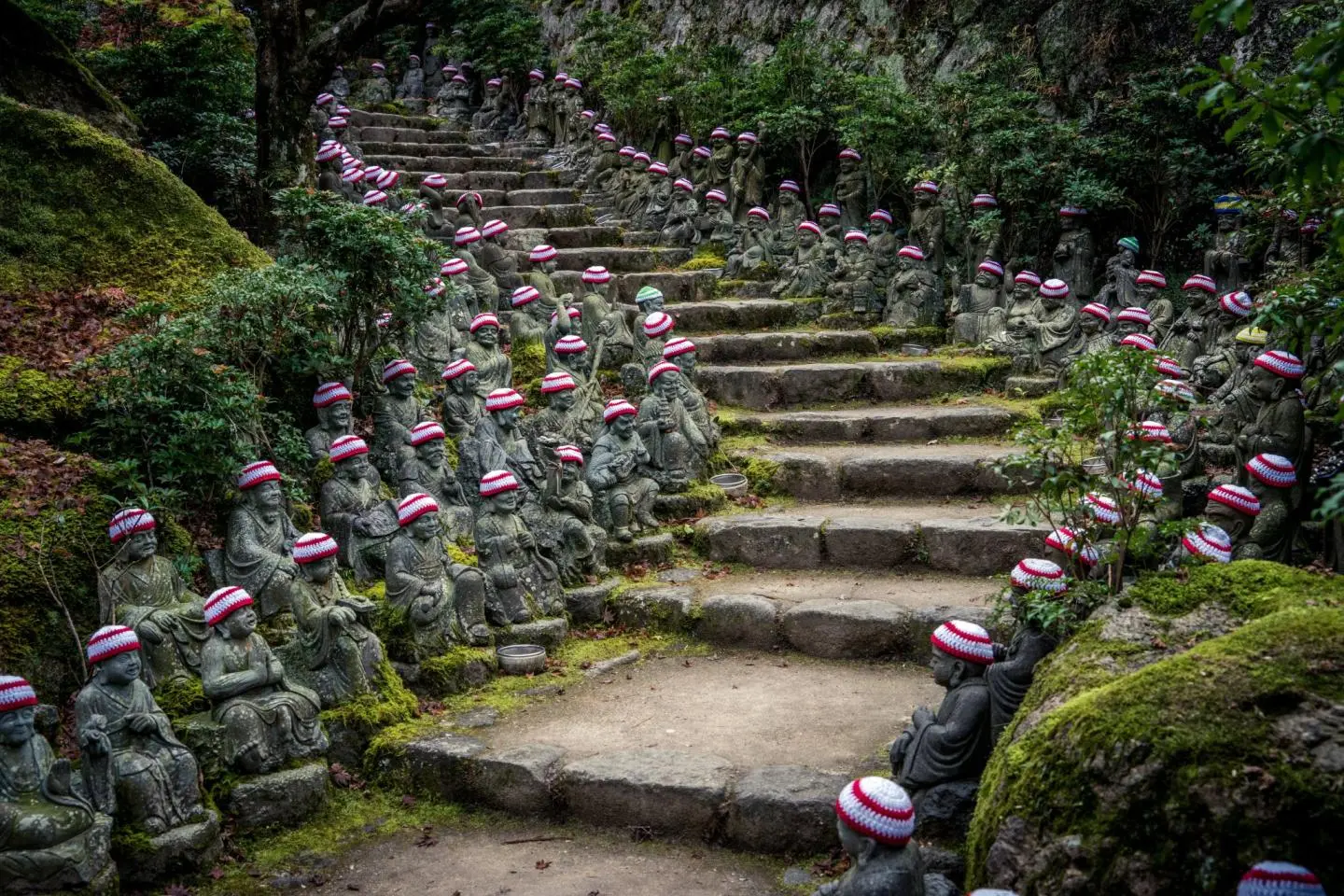 Buddha lined steps at Daisho-in Temple (저작권: Joshua Hawley / Shutterstock.com)