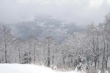 <p>Pemandangan indah musim dingin di sekitar Yuzawa.</p>