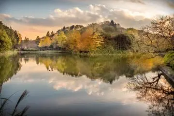 This is one place where you can certainly escape the urban jungle 