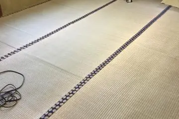 Goza, a thin mat that can be purchased in home stores. This "6-mat" size goza fits our room.