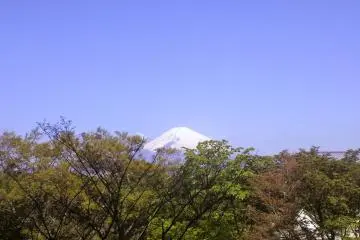 Hotel Tokinosumika, one of two hotels at the resort, also has a view of Mt Fuji.