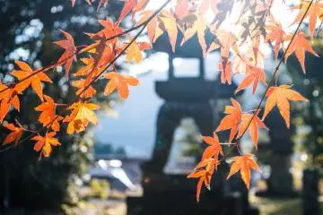 萩市：兩天約會的最佳地點