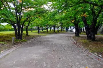 มีเส้นทางเดินมากมายทั่วสวนสาธารณะ ให้คุณชมบริเวณปราสาทให้เต็มที่