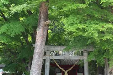 There are several things you can see for free too, such as the farm's shrine.