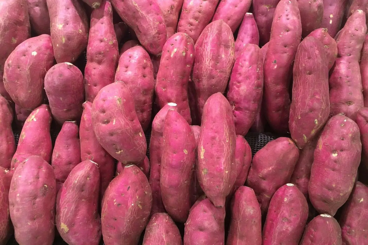 Purple sweet potatoes are a superfood - and a popular part of Okinawan cuisine (Photo présentée par auntmasako/Public Domain)