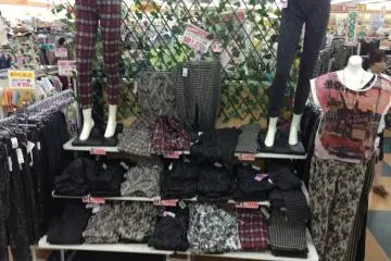 <p>Ladies apparel</p>