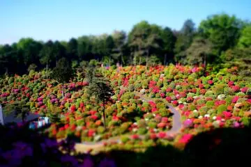 Like something from a dream!