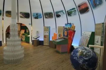 Gallery image