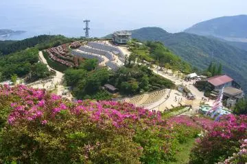 Azaleas at Mount Ohira