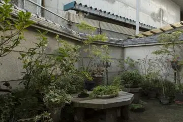 Most buildings in Japan have a beautiful little viewing garden, which is something I always look forward to