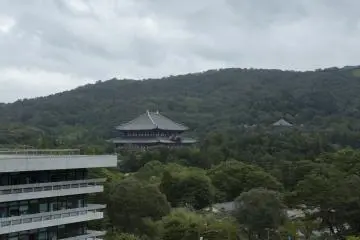 The incredible structure that is Tōdai-ji is just as impressive from above from the Nara Prefectural Office