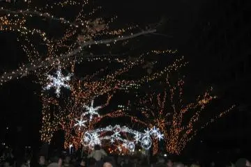 Nakanoshima Illumination Street