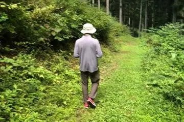 Hiromitsu Seki from the MCT team hiking deeper into the forest