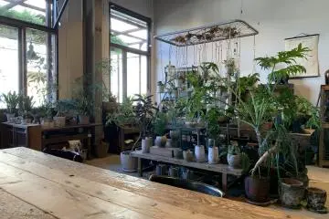Interior Decoration