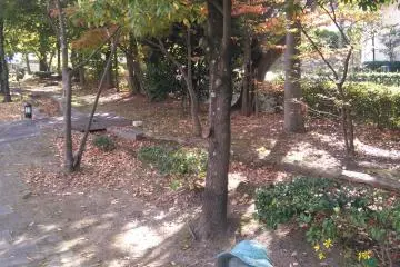 Life going by in the park 