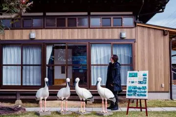 The recently opened Japanese White Stork Cultural Exchange Center—the models are life-size.