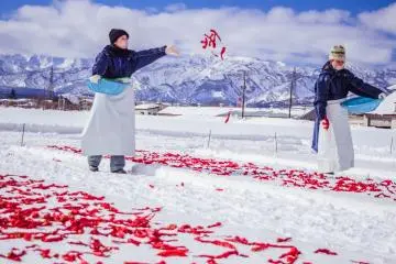 Spreading the chillies on the snow increases the sweetness of Kanzuri.