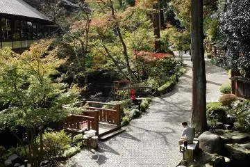 The hotel’s lovely garden.