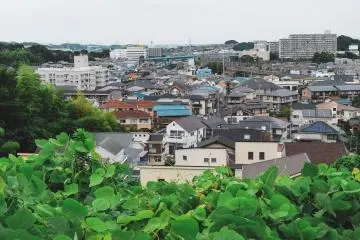 View of the world beyond the peace of the temple