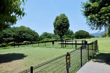 The dog run