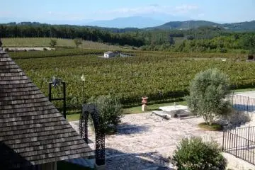 Looking out over the vineyards with Mt. Fuji in the background