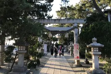 Gallery image