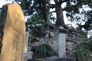 The hibyakushin up close