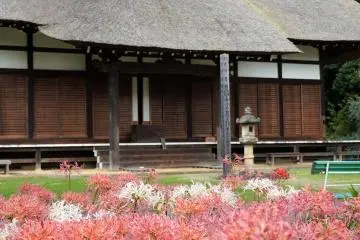 Spider lilies in bloom in front of the main hall