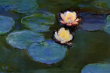 The Beauty of Flowers 2021