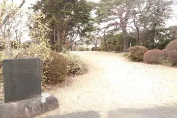 Vista del jardín