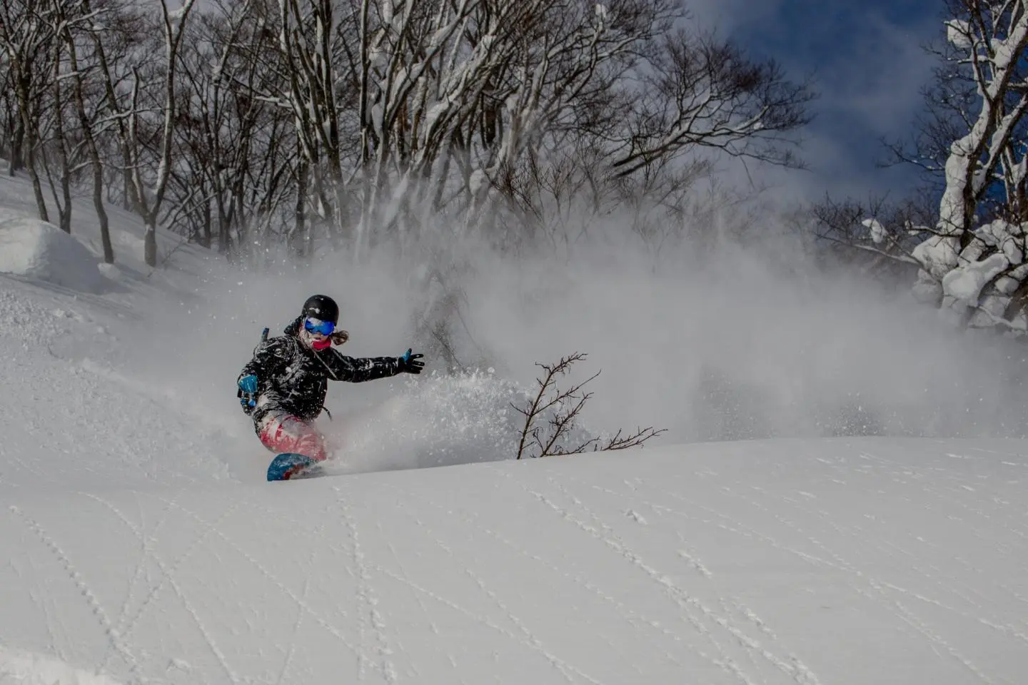 Photo: Camilla Rutherford | JT