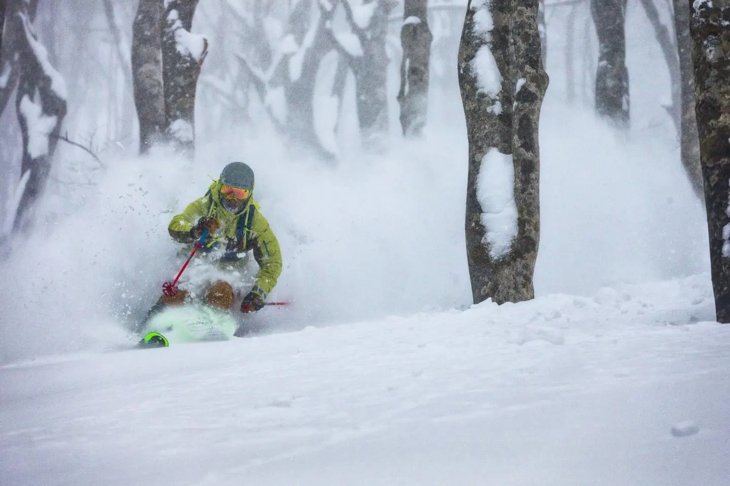 Photo: Grant Gunderson | JT