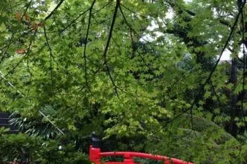 Fujiya Hotel gardens