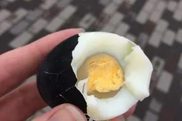 Black egg cooked in the sulphurous hot spring