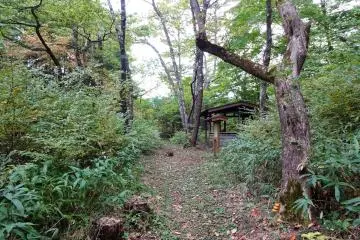 Rest area along a forest trail in the Kizo Valley. 