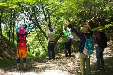 You are invited to feel the forest and its energy. 