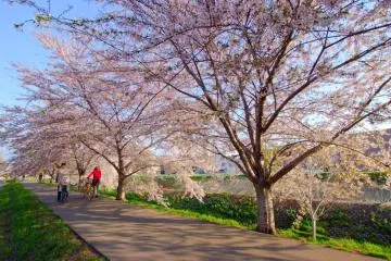 The perfect place for a springtime stroll!