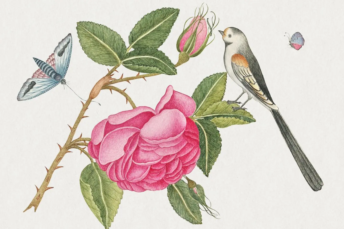 Kew Gardens Exhibition 2021