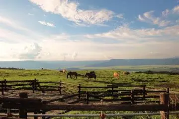 Mount Aso (Photo: <a href="https://www.flickr.com/photos/plattbridger/12228893206" target="_blank" rel="noreferrer noopener nofollow">plattbridger</a> / <a href="https://creativecommons.org/licenses/by-nc/2.0/" target="_blank" rel="noreferrer noopener nofollow">CC BY-NC 2.0</a>)
