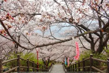 Spectacular scenery at Oboshi Park