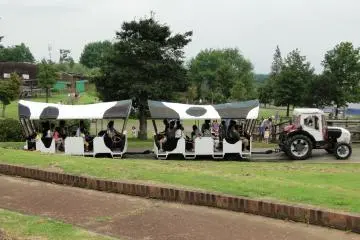 The "cow cart" makes its rounds