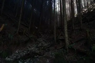 The hidden trail to Kyozuka 18