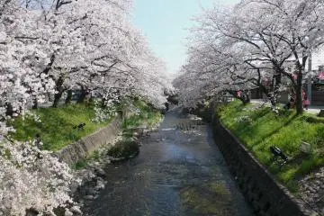 Beauty along the riverbanks