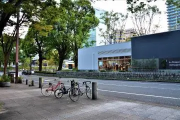 Gallery image
