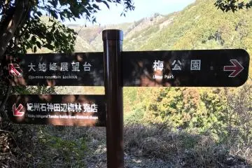 A short walk in a circle takes you around the orchard